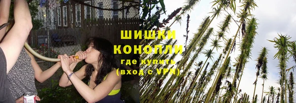 дмт Снежинск