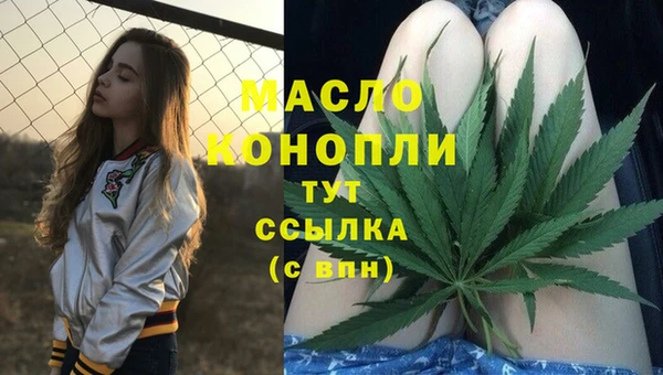 дмт Снежинск