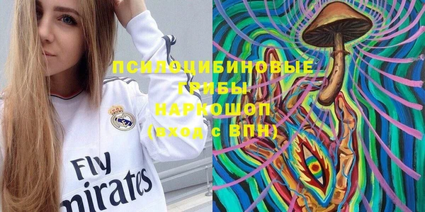 прущий лед Алексин