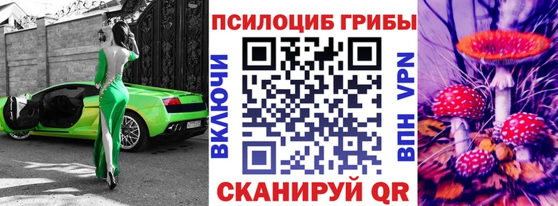 блэк спрут зеркало  Кимры  Галлюциногенные грибы Magic Shrooms 